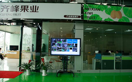 齊峰果業(yè)參加上海亞果會